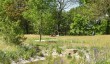 queen-elizabeth11-garden.jpg