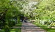 regents-park-in-spring.jpg