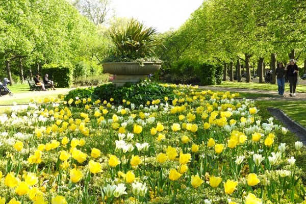 Regents Park London in Spring
