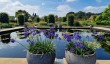 rhs-bridgewater-garden-manchester.jpg