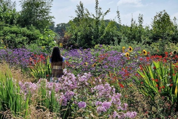 RHS Bridgewater Garden