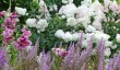 rhs-wisley-gardens.jpg