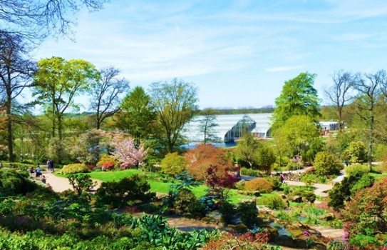 RHS Wisley Gardens