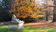 rousham-garden-autumn.jpg