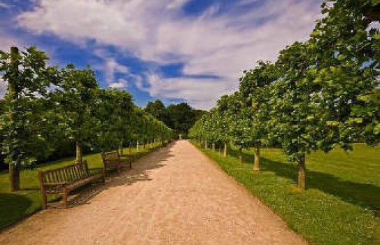 Rufford Country Park