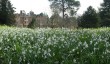 sandringham-gardens-6.jpg