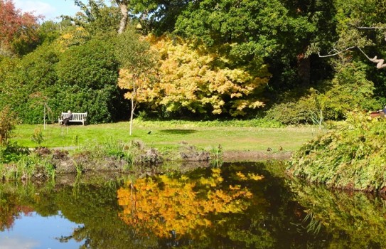 Savill Gardens Autumn Savill Gardens Autumn