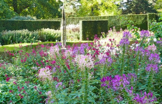 Savill Gardens Savill Gardens