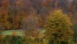 selborne-autumn-colours.jpg