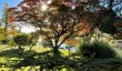 sheffield-park-autumn-colours.jpg