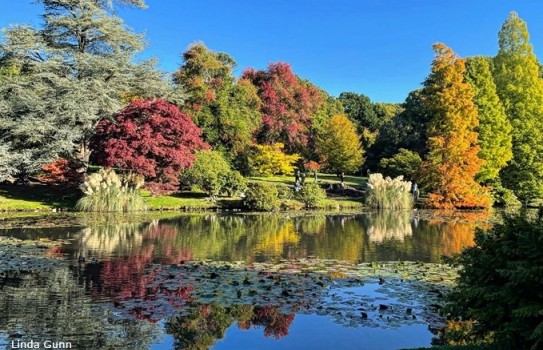 Sheffield Park Gardens