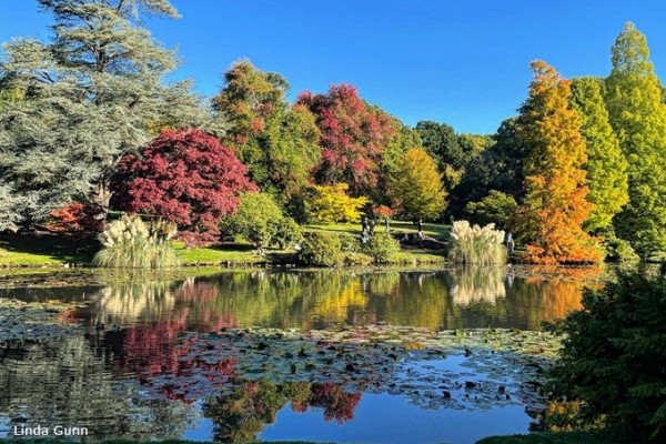 Sheffield Park Gardens