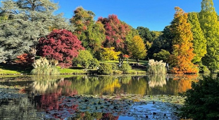 Sheffield Park Gardens