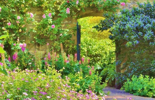 Sherborne Castle Gardens in Dorset
