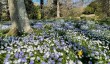 sherborne-castle-gardens-spring.jpg