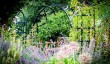 shropshire-gardens.jpg