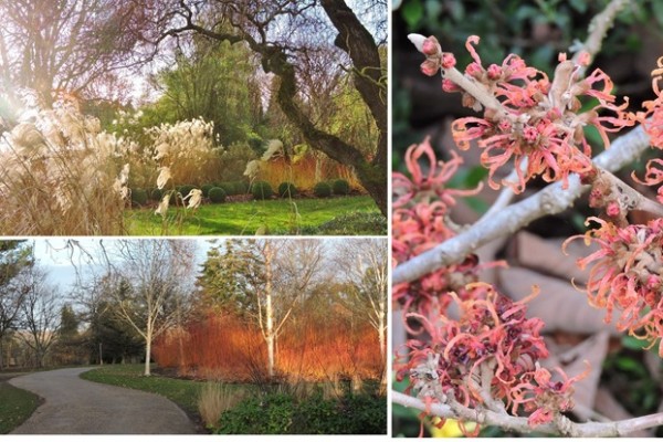 Sir Harold Hillier Gardens Winter