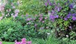 sissinghurst-castle-gardens.jpg