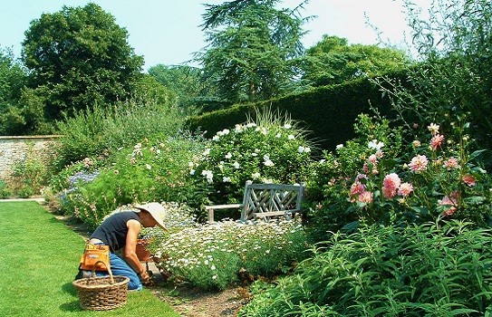 Tintinhull Garden