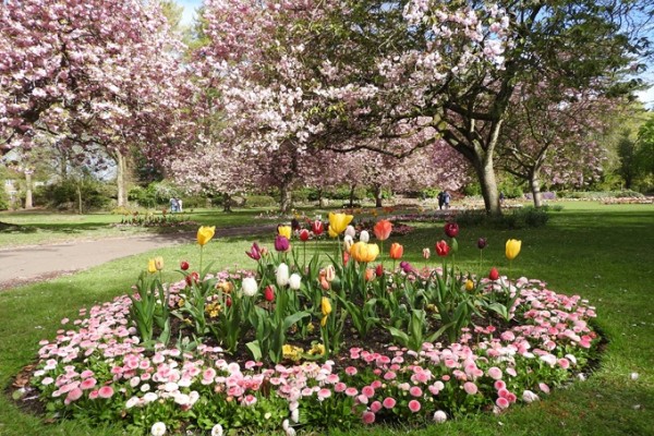 Old Town Gardens Swindon