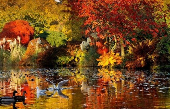 Autumn at Wakehurst Place