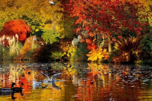 Autumn at Wakehurst Place