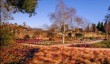 wakehurst-place-winter-garden.jpg