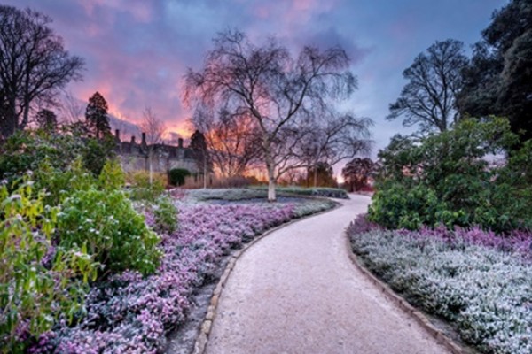 Winter at Wakehurst Place