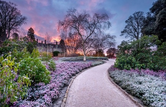 Winter at Wakehurst Place