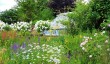 waltham-place-gardens-2.jpg