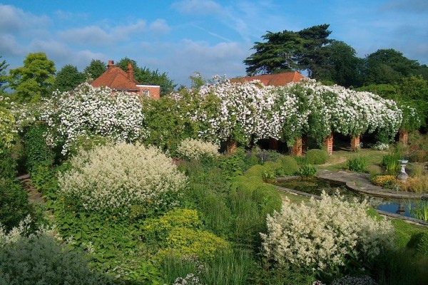 Waltham Place Garden