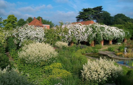 Waltham Place Garden