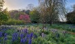wells-cathedral-garden.jpg