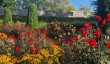 wells-somerset-garden.jpg