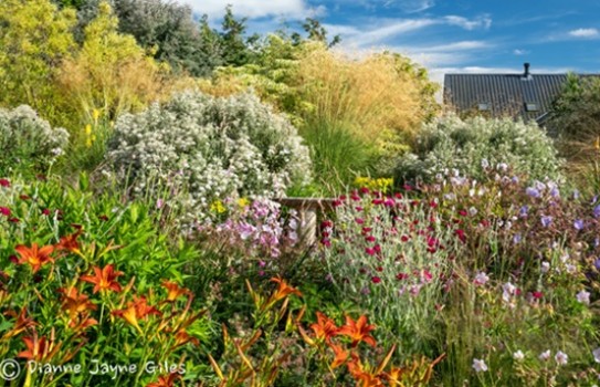 Wildside Garden Devon