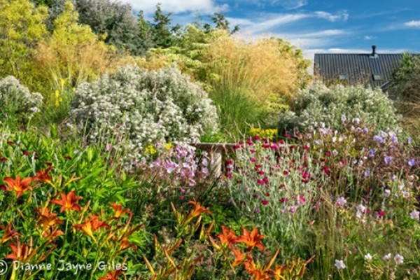 Wildside Garden Devon