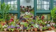 wimpole-hall-walled-garden-greenhouse.jpg