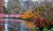 wisley-garden-winter.jpg