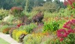wisley-gardens.jpg