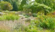 wisley-piet-oudolf-garden.jpg