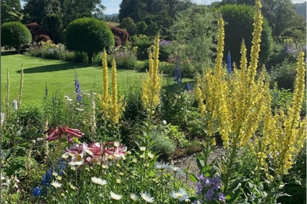 Yews Garden Cumbria