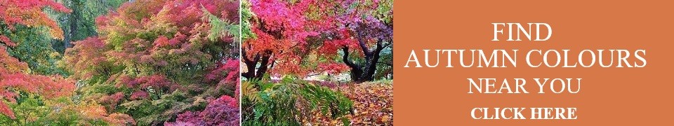 autumn-colours-2026-banner