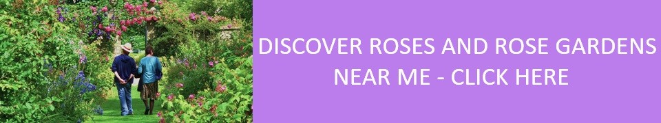 rose-gardens-near-me-2025