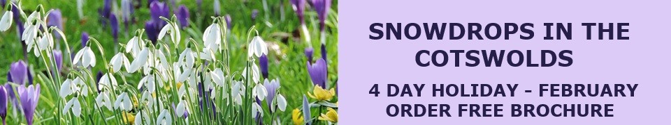 snowdrop-tours