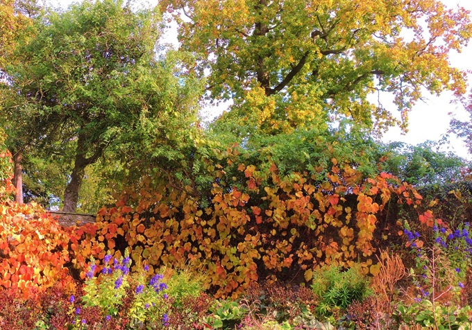 aberglasney-gardens-carmarthenshire