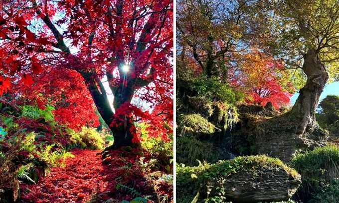 Hotel Endsleigh Gardens Autumn autumn-colours-hotel-endsleigh