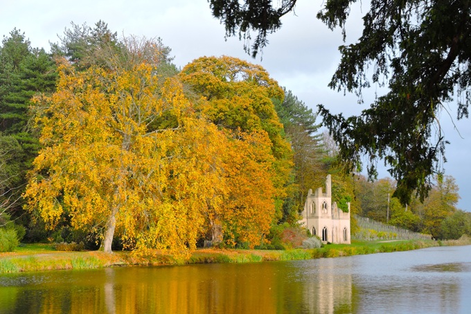 painshill-serpentine-lake