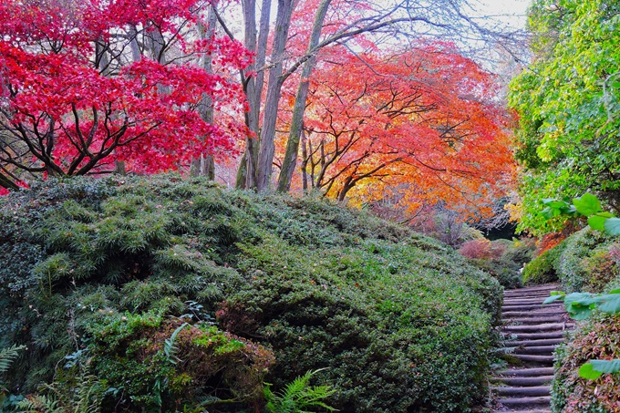 winkworth-arboretum