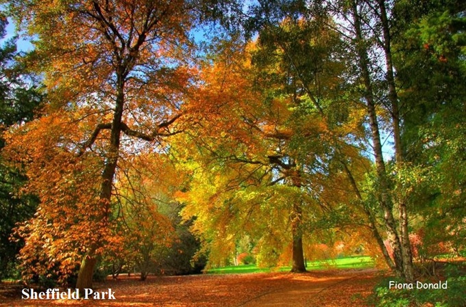 autumn-colours-sussex