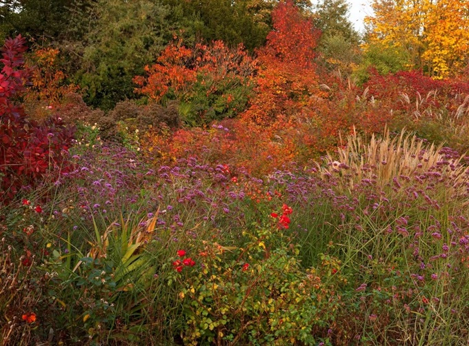 Borde Hill Gardens Sussex in Autumn borde-hill-in-autumn